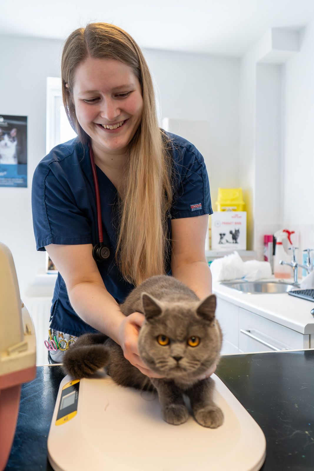 nurse holding cat